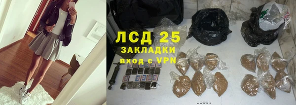 крисы Верея