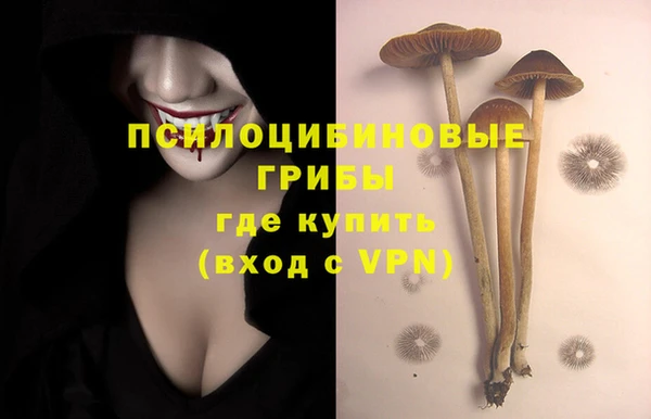 тгк Бронницы