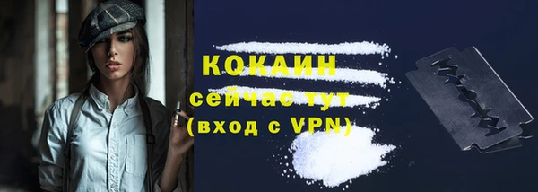 крисы Верея