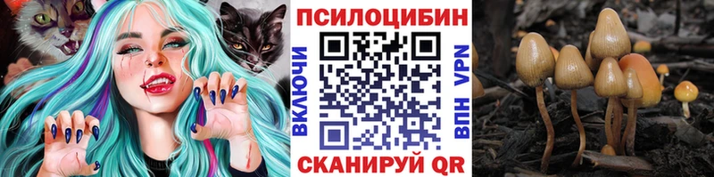 маркетплейс формула  Новохопёрск  Галлюциногенные грибы мухоморы  даркнет сайт 